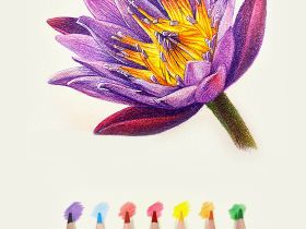 Набор карандашей стираемых цветных Acmeliae 24 цв, картонном футляре