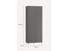 Распашной шкаф Пронто 2-100x220 Графитовый