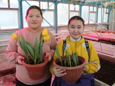 В Хангаласском районе Якутии школьники круглогодично выращивают овощи, цветы и ягоды