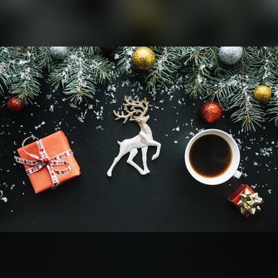 Кот в Новый Год