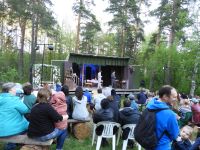 Лесная сцена парка Монрепо