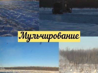 На участке "Данилка РОМН "Куохаан" проводятся работы