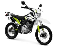 Питбайк SHORNER Raptor IX 19-16