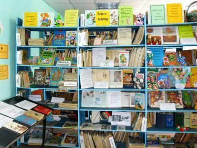 Большерельненская сельская библиотека