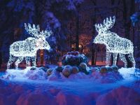 Соляной сад