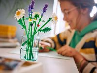 Botanicals 11508 Конструктор Ромашки