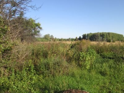 Родина Героя Советского Союза Н.М. Лавицкого, погибшего в марте 1944 г.
