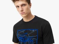 Мужская хлопковая футболка Lacoste стандартного кроя