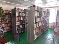 Верхнебалыклейская поселенческая библиотека