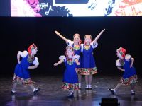 Молодежный досуговый центр «Ровесник»