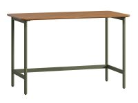 Письменный стол Дорис-1 120x60 Коричневый/Оливковый