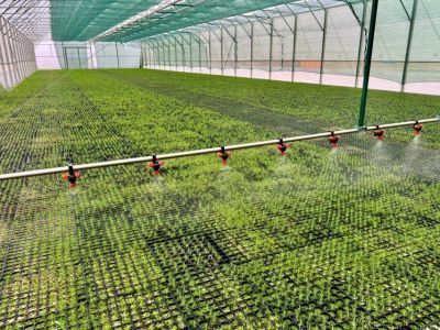 В Якутске заработал автоматизированный лесопитомник