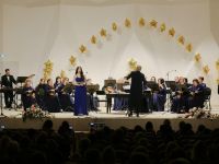 Концертно-творческий центр города Нижнекамска