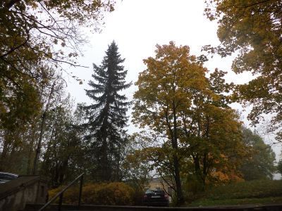 Парк в Фабричном овраге