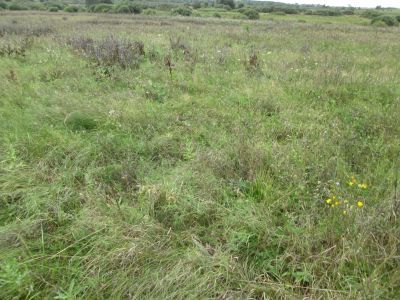 Памятное место, где в 1942 г. была организована подпольная патриотическая группа, возглавляемая С.П. Москалевым, на базе которой был создан партизанский отряд им. Н. Щорса