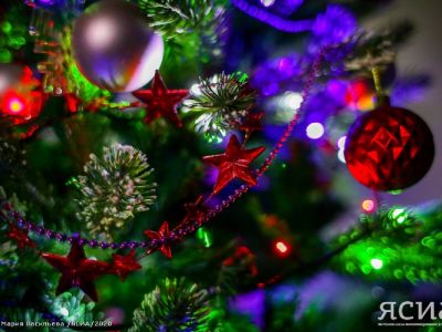 Жители ДФО готовятся к Новому году: продажи праздничных украшений выросли в два раза