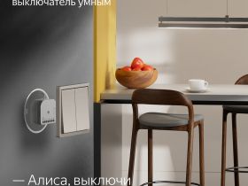 Умное реле Яндекс Zigbee двухканальное YNDX-00538 Белое