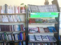 Денисовская сельская библиотека – филиал № 8