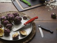 Складной кухонный нож Victorinox 6.7831.FB, серрейтор