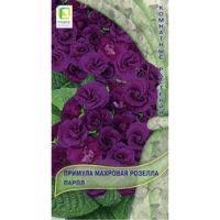Примула махровая Розелла Парпл (срок реализации до конца 2026 г)