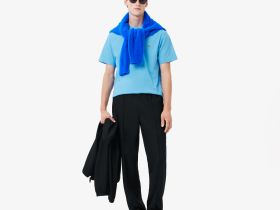 Мужская хлопковая футболка Lacoste с коротким рукавом