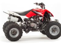 Квадроцикл MOTOLAND 125S (2020 Г.)