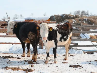 Районы Якутии получат дополнительные полномочия по поддержке сельского хозяйства