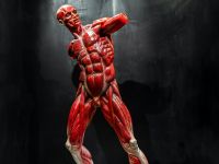 Музей оптических иллюзий