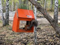 Верхнепышминский парк культуры и отдыха