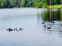 Парк Революции