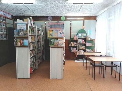 Библиотека деревни Минино