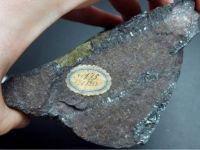 Петрографический музей Санкт-Петербургского государственного университета