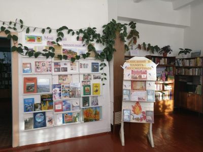 Досатуйская сельская библиотека