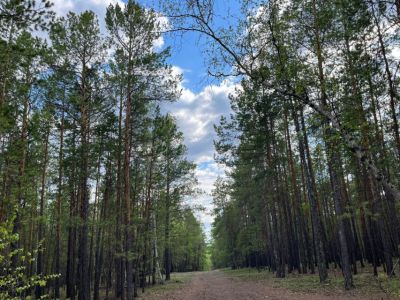 Скорость обнаружения пожаров в Якутии выросла вдвое благодаря новым технологиям
