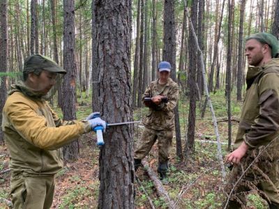 Отдавшие лесному делу душу и сердце. Ведущей лесоучетной организации - 85 лет