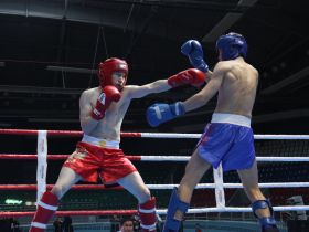 Кикбоксеры Якутии завоевали девять золотых медалей чемпионата Дальнего Востока