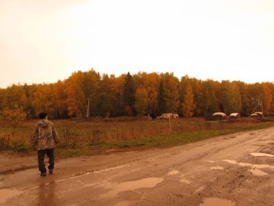 Священная роща