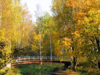 Мост "Центральный" через Чёрную речку, середина XIX века, реконструирован в 1968 году