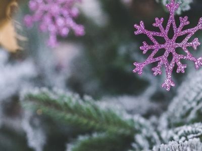 Как выбрать искусственную елку?