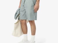 Мужские шорты Lacoste из хлопка