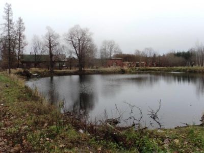 Усадебно-парковый комплекс «Ящера» («Михайловская»)