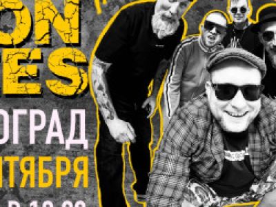 Группа «The Iron Bees» 17й день рождения