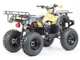 Квадроцикл STALKER 250