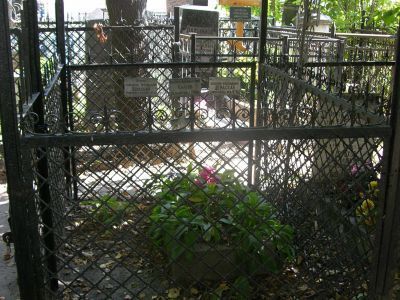 Могила Церасского Витольда Карловича (1849-1925)