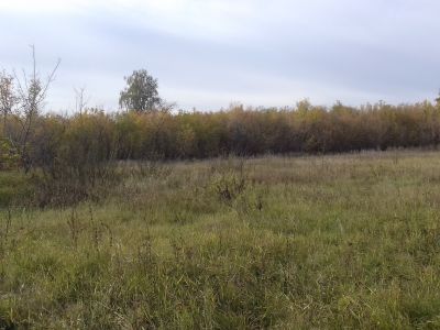 Братская могила партизан