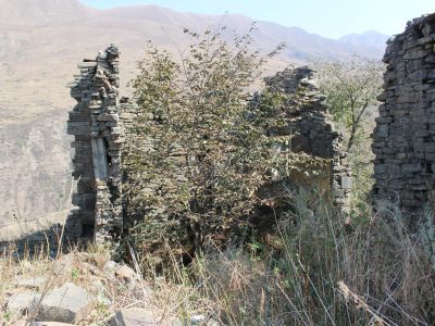 Резные камни с изображениями и со сложной арабской вязью (6 единиц)