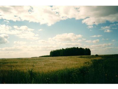 Священная роща