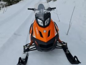 Снегоход WOIDEAL WD 300