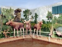 Верхнесинячихинский краеведческий музей