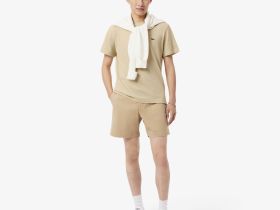 Мужская хлопковая футболка Lacoste из смеси льна